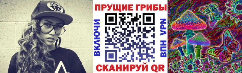 МЕГА ссылки  Шилка  Галлюциногенные грибы MAGIC MUSHROOMS  что такое наркотик 